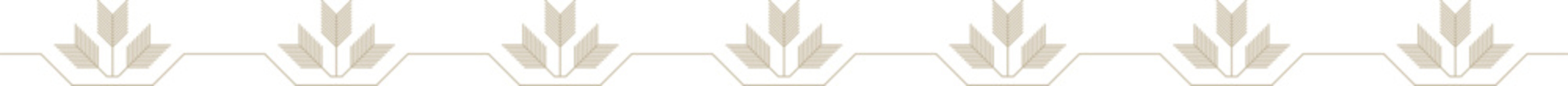 Indian Traditional Jamdani Motif Border Design Element