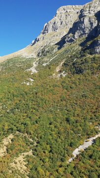 Scenic view of a rocky mountain and dense forest in Papingo, Greece, under a clear blue sky. Vibrant autumn foliage covers the hillside, highlighting the natural beauty of the region.