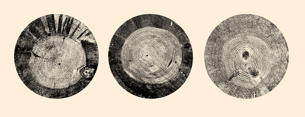 Naklejka premium Collection of tree ring cross sections, wood slices isolated. Tree stump cuts with natural growth rings, trunk slabs, detailed ring patterns. Organic wood texture elements for background design.