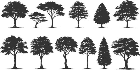 A collection of ten distinct black silhouettes of deciduous and coniferous trees on white background © MD