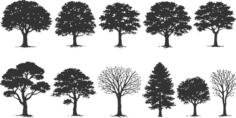 A collection of ten distinct black silhouettes of deciduous and coniferous trees on white background © MD