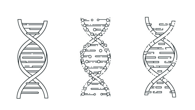 Set of three different DNA strand illustrations in line art style shows various ways to represent genetic structures for scientific purposes.
