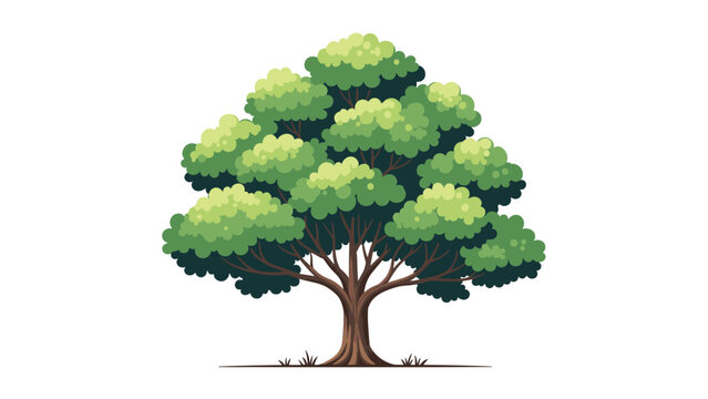 Large leafy green tree with a sturdy brown trunk and spreading branches isolated on a white background for nature concepts.