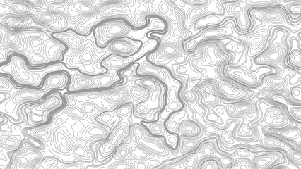 Topography background. Vector banner. Topography map background. Vector geographic contour map. Background of the topographic map. Topographic map lines, contour background.  © Mst
