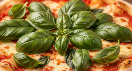 Fototapeta premium Extreme close up of a classic Margherita pizza topped with melted mozzarella cheese and fresh green basil leaves