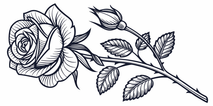 A beautifully detailed illustration of a single rose with leaves and thorns