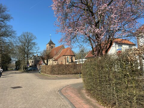 Spring blossom by the historic Martinuskerk in Warnsveld, with a sunny blue sky above the village street and red‑tiled rooftops.