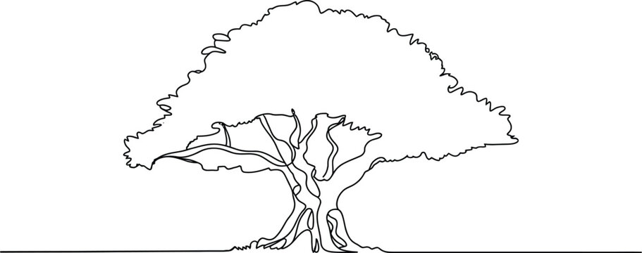 Continuous line art drawing of a large oak tree with spreading branches for minimalist nature and environment conservation concept design.