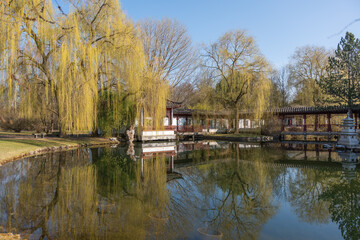 Fototapeta premium Calm pond reflects trees and wooden structures. Golden willow branches sway gently. Lush green grass lines the shore. Clear blue sky enhances the scene. Serene landscape captures peace