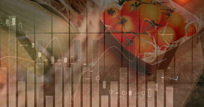 Vertical video: Finance overlay showing cam panning tomato and corn moving as charts updating costs