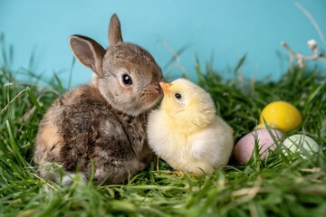 Fototapeta premium Cute bunny and chick together in green grass with pastel easter eggs on a blue background in a sweet spring holiday scene.