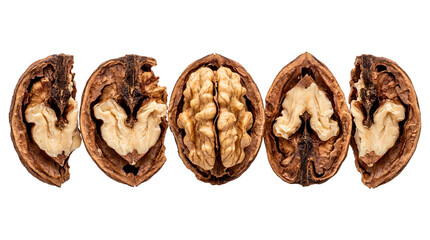 Obraz premium The walnut cut open, reveals the delicious nut inside. Its brown shell contrasts with the light color of the inner nut