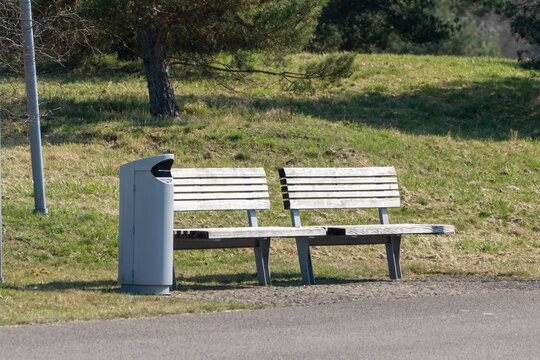 Two wooden park benches sit beside a gray trash can. Grass covers the hill behind them. Pine tree rises in the background. Paved path runs parallel to the benches. Sunlight illuminates the park scene