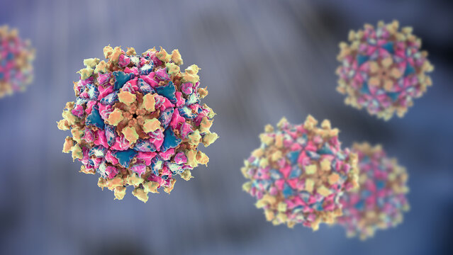 Poliovirus, 3D illustration