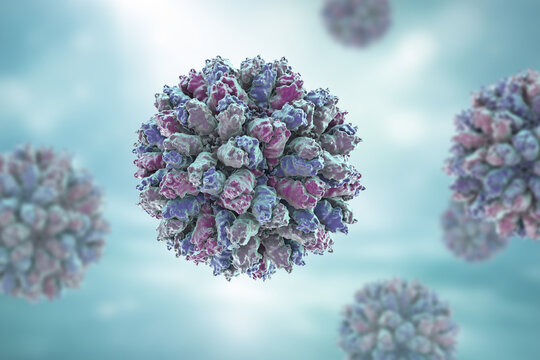 Rabbit haemorrhagic disease virus, 3D illustration