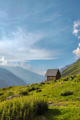 Isolated Wooden Cabin on a Lush Mountain Slope in Stepantsminda, Georgia
