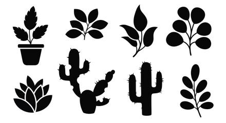 A collection of various types of cacti and succulent plants in a simple line art style © Mohammad