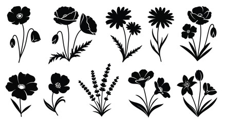 A collection of various types of flowers and plants in black and white illustration © Mohammad
