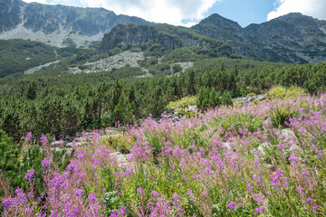 Obraz premium Landscape of Rila mountain near Granchar Lake, Bulgaria