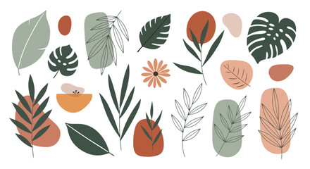 A diverse collection of tropical leaves and plants in various colors and shapes © MohammadMasud