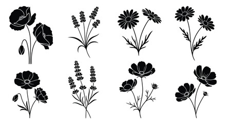 A diverse collection of various flowers and plants illustrated in black and white © MohammadMasud