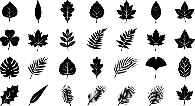 Modern illustration featuring silhouettes of decorative garden plants, including a set of bush and bare bush
