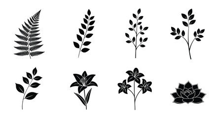A variety of different types of ferns and leaves in black and white illustration © MohammadMasud