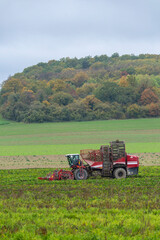 Fototapeta premium Sugar beet harvester working in a rural field