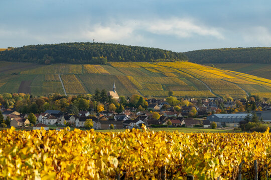 Chablis village surrounded by vibrant autumn vineyards in Bourgogne
