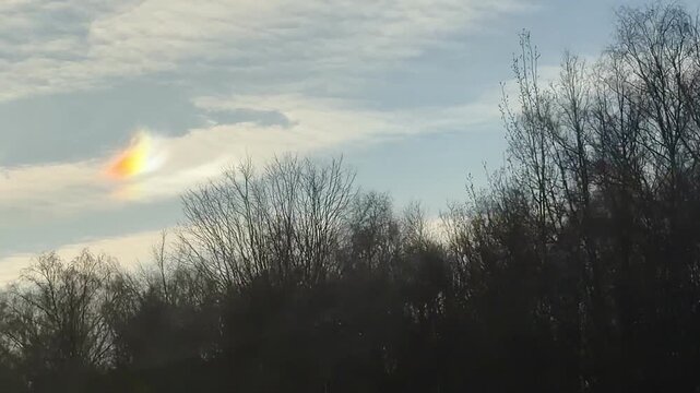 Rare sundog or parhelion atmospheric phenomenon in the cloudy sky above a forest. Bright rainbow spot near the sun, natural optical illusion and meteorological concept