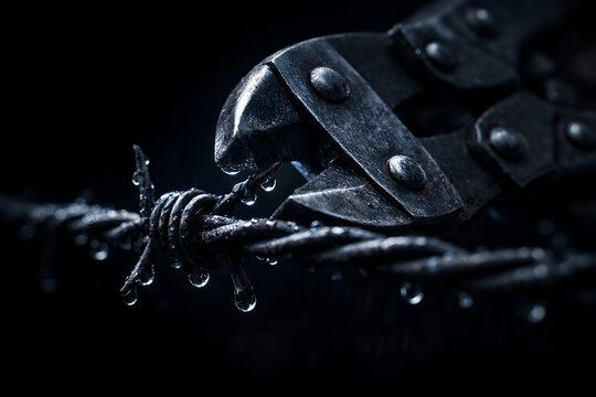 Barbed Wire and Metal Cutter