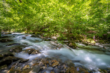 Obraz premium Forest river flowing through rocks in Ustou, Ariege