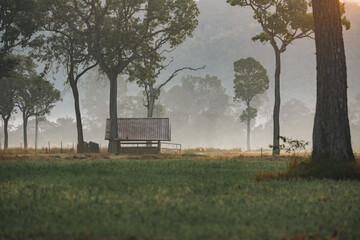 Naklejka premium Sunset countryside landscape with rural field and small house peaceful nature golden light misty morning calm environment hope tranquility scenic farmland outdoor lifestyle