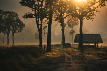 Fototapeta premium Sunset countryside landscape with rural field and small house peaceful nature golden light misty morning calm environment hope tranquility scenic farmland outdoor lifestyle