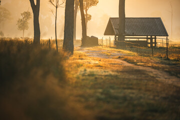 Fototapeta premium Sunset countryside landscape with rural field and small house peaceful nature golden light misty morning calm environment hope tranquility scenic farmland outdoor lifestyle