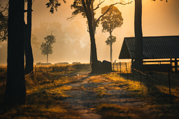 Fototapeta premium Sunset countryside landscape with rural field and small house peaceful nature golden light misty morning calm environment hope tranquility scenic farmland outdoor lifestyle