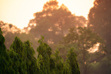 Fototapeta premium Sunset countryside landscape with rural field and small house peaceful nature golden light misty morning calm environment hope tranquility scenic farmland outdoor lifestyle