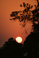 Fototapeta premium Sunset countryside landscape with rural field and small house peaceful nature golden light misty morning calm environment hope tranquility scenic farmland outdoor lifestyle