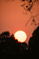 Fototapeta premium Sunset countryside landscape with rural field and small house peaceful nature golden light misty morning calm environment hope tranquility scenic farmland outdoor lifestyle