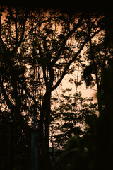 Fototapeta premium Sunset countryside landscape with rural field and small house peaceful nature golden light misty morning calm environment hope tranquility scenic farmland outdoor lifestyle