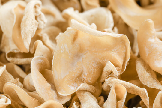 Fresh White Fungus Mushrooms from Changbaishan Mountain Northeastern China Premium Jade Edible Fungi