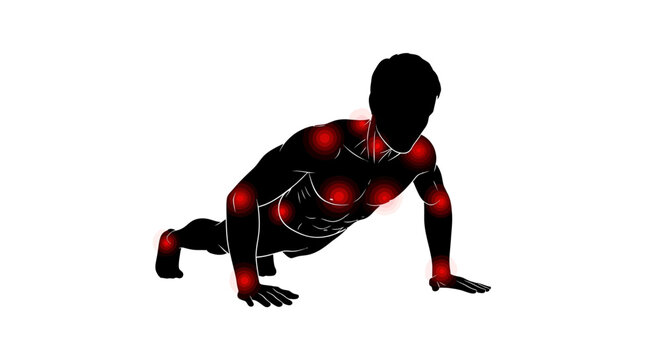Human body in push-up position with highlighted muscles.