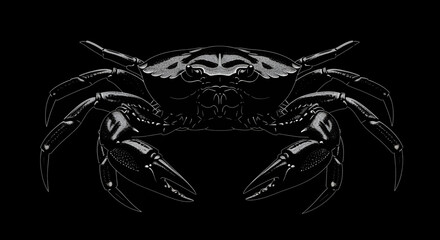 Detailed monochromatic illustration of a crab showing its intricate shell and sharp pincer claws © Mamun