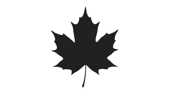Black Silhouette of Maple Leaf Shape.