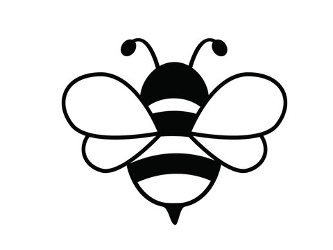 Black and white bee illustration 