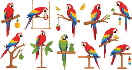 Colorful Parrot Set Vector Illustration with Tropical Birds on Perches, Hanging Fruits, and Playful Poses for Animal Wildlife and Pet Shop Design © MSTJANNATUN