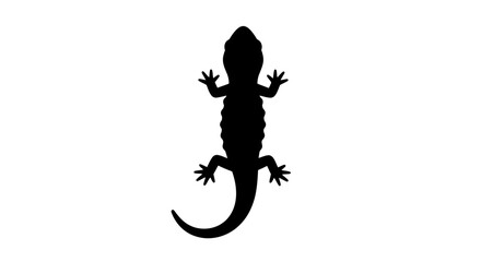 Obraz premium Black Silhouette of a Lizard.