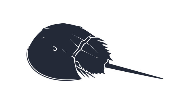 Black Silhouette of Horseshoe Crab.