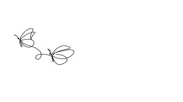 Animated self drawing of continuous line draw  flying envelope with butterflies. Full length one line animation. 4K
