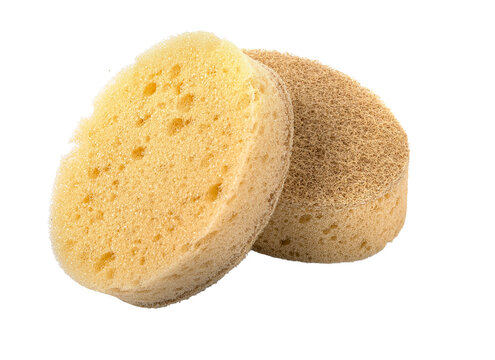 Two sponges for cleaning and scrubbing on transparent background